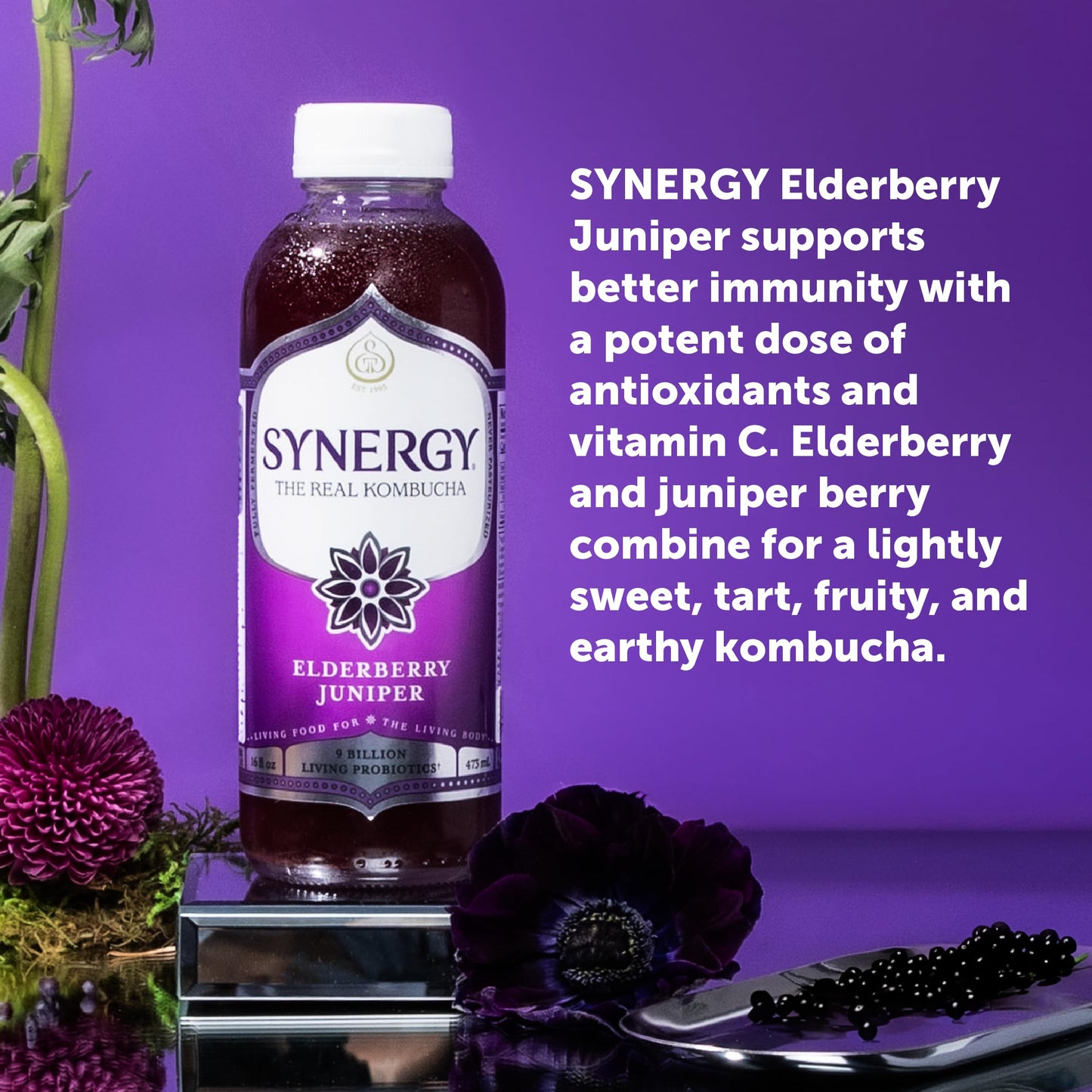 SYNERGY The Real Kombucha - Elderberry Juniper - 16 fl oz Bottle - Raw Probiotic Drink for Gut Health and Immune Support