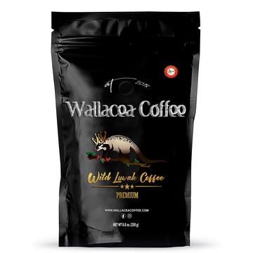 WALLACEA COFFEE Wild Kopi Luwak Coffee Beans, 8.8 oz, Black, Civet Coffee from Gayo Sumatra Indonesia