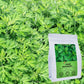 FullChea Dried Mugwort Herb Loose Leaf - 100% Pure - 4oz - Non-GMO, Caffeine-free, Sulfur-free