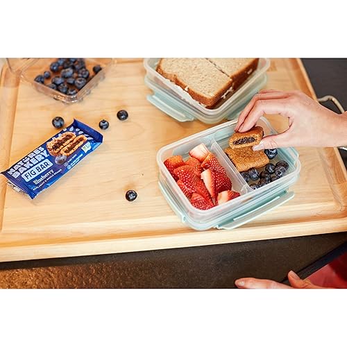 Natures Bakery Whole Wheat Fig Bars, Blueberry, Real Fruit, Vegan, Non-Gmo, Snack Bar, Twin Packs- 12 Count