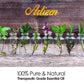 Artizen 2Oz Oils - Rosemary Essential Oil - 2 Fluid Ounces