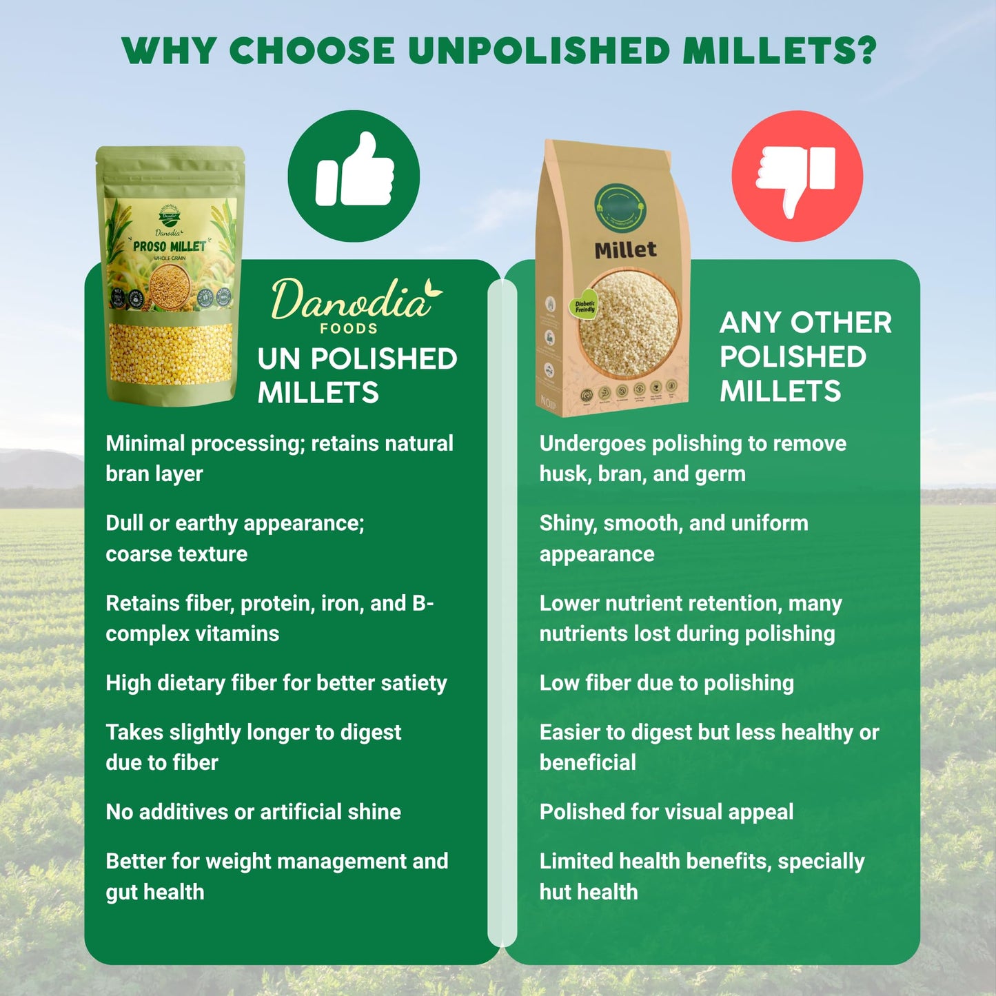 Danodia Foods Organic Proso Millet (2 Lbs | 950G | 33Oz) | Unpolished, Whole Grain, Gluten-Free, Hulled Superfood | Natural, Non-Gmo, Vegan, High Fiber & Protein | Fda Registered
