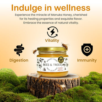 Bees & Trees Manuka Honey 550+ MGO - Pure New Zealand Raw Monofloral Honey - Unpasteurized & Natural - 380g (13.4oz) Glass Jar -