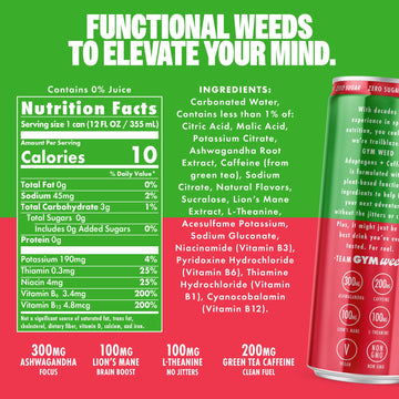 GYM   Athletic Focus Drink with KSM-66 Ashwagandha & Lions Mane, Watermelon Flavor, 12 Pack, 200mg Green Tea Caffeine