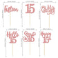 36Pcs Rose Gold Glitter 15Th Birthday Cupcake Toppers Hello 15 Sweet 15 Cake Topper Fifteen Happy 15Th Birthday Cupcake Picks Fo