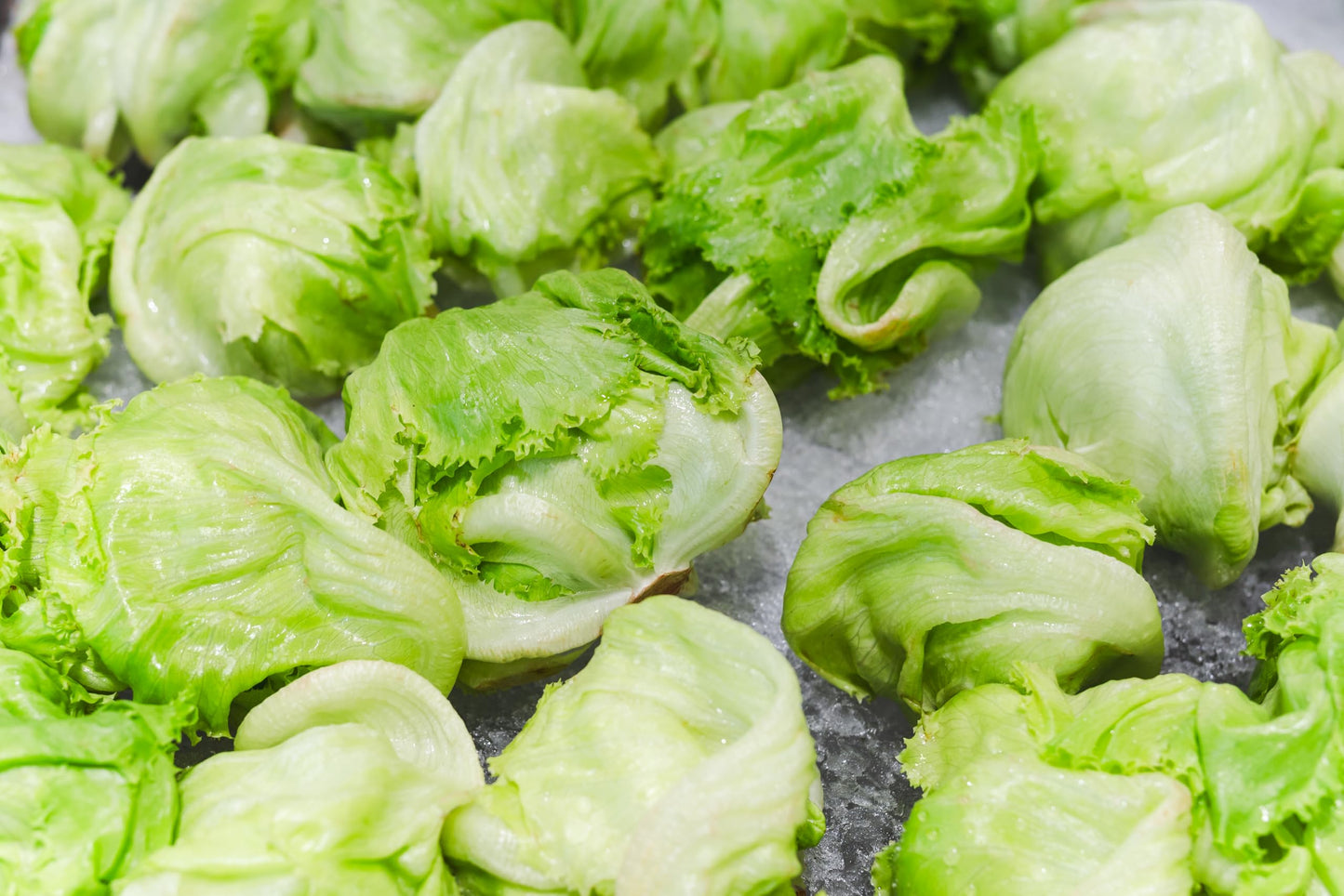 Fresh Iceberg Lettuce By Rawjoy Farms (1 Pound)