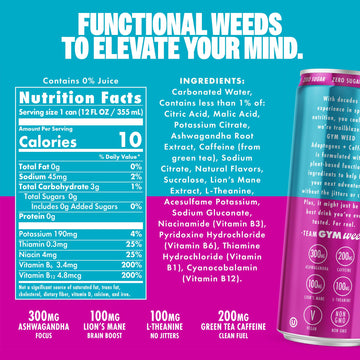 GYM   Athletic Focus Drink with KSM-66 Ashwagandha, Lions Mane, 200mg Green Tea Caffeine, Brain Candy Flavor, 12 Pack