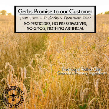 Gerbs Original Seed n' Honey Granola, 4 LBS. - Top 14 Food Allergy Free & Non GMO - Keto Safe - Made in Rhode Island