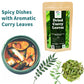 Dried Curry Leaves 0.7 Oz (20 g) Whole Herbs Leaf for Asian Spices Food Natural Air Dried Kari Patta Aromatic Flavors - Lanka Fl