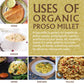 Jiva Organics Proso Millet 2 Lb Bag | Whole Grain, Gluten-Free & Organic | High Protein & Fiber-Rich Superfood For Indian Cookin