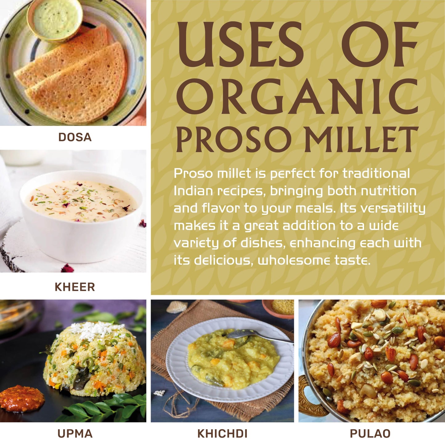 Jiva Organics Proso Millet 2 Lb Bag | Whole Grain, Gluten-Free & Organic | High Protein & Fiber-Rich Superfood For Indian Cookin