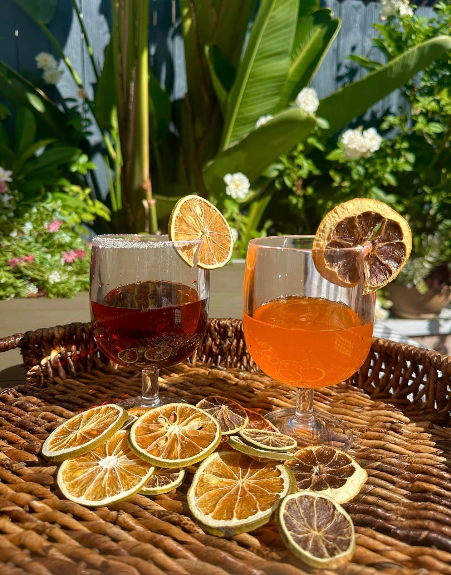 Utama Dehydrated Citrus Mix - 50+ Pieces Dried Lemon, Lime, Orange, G fruit - Small Citrus Potpourri for Garnishing