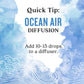 Aura Cacia Ocean Air Essential Oil Blend  Boxed 0.25 fl. oz. - Light Aroma  No Synthetic Fragrances