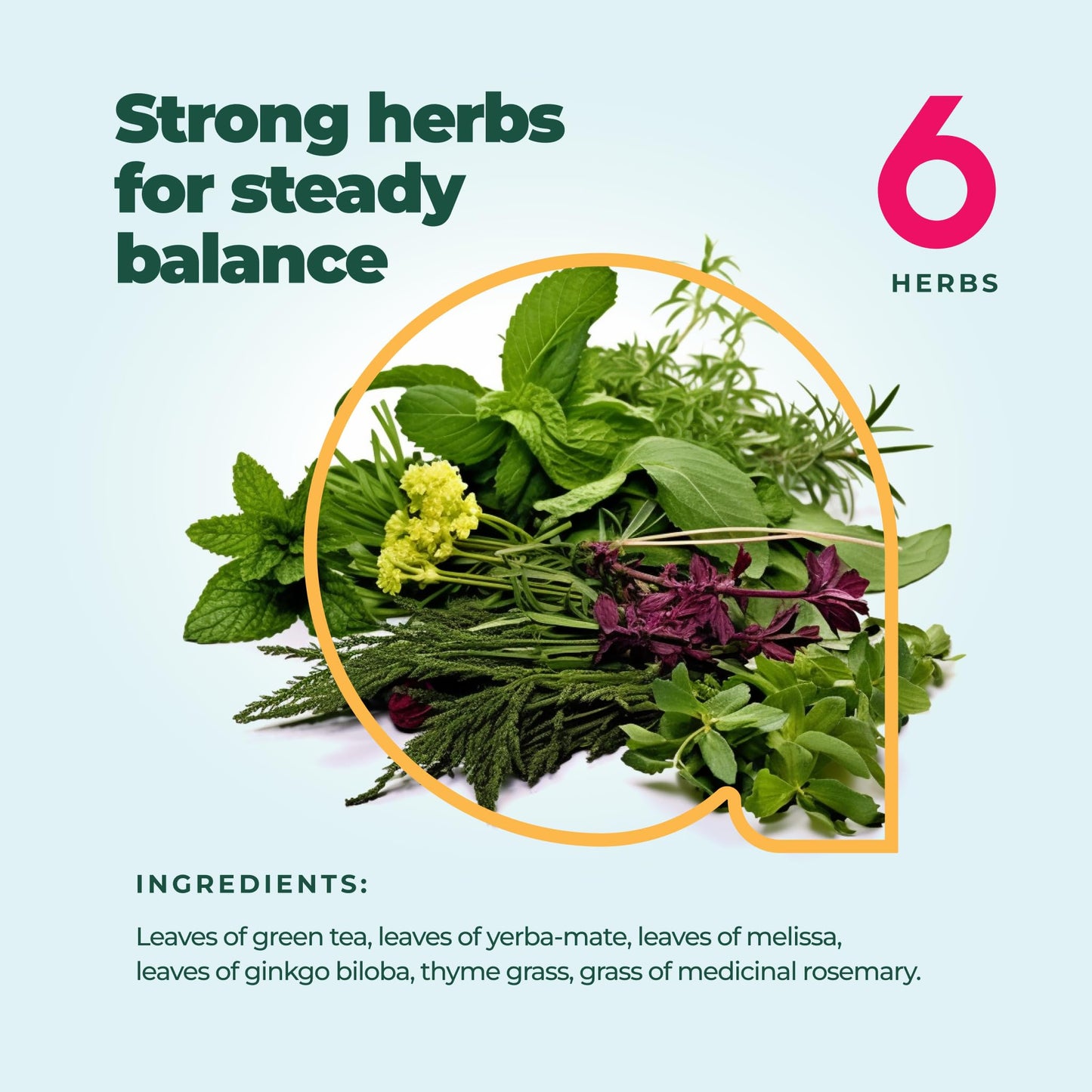 Aprikalife - Focus And Concentration Herbal Tea 100% Natural Herbal Tea Created By Herbalists - Yerba-Mate, Lemon Balm, Ginko Bi