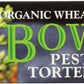 AMYS Pesto Tortellini Bowl, 9.5 OZ