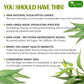 TOG999 Premium Eucalyptus Leaf Herbal Tea Bags, 100% Natural, 100 Bags, No Caffeine, Vegan