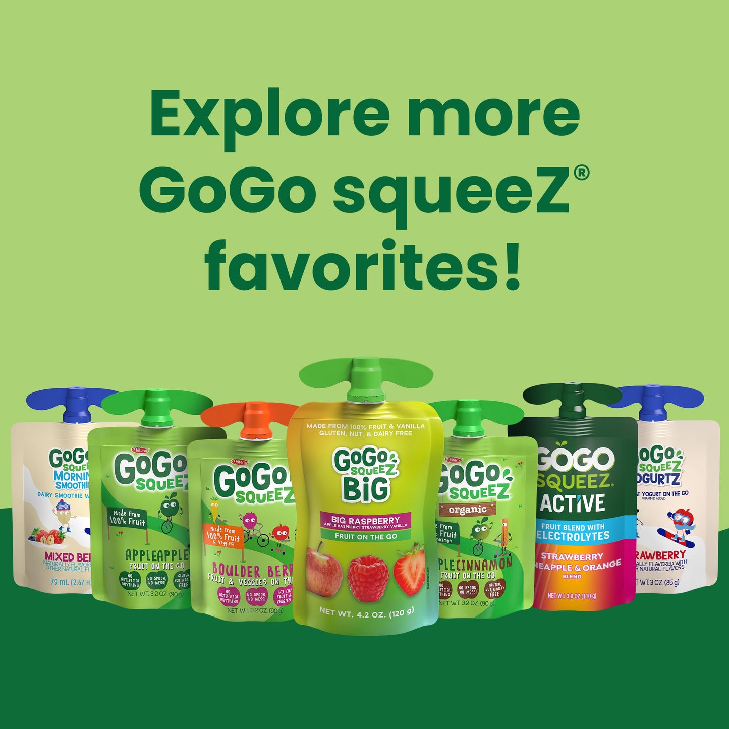 GoGo squeeZ Fruit on the Go  Apple Cinnamon  3.2 oz (Pack of 12)  Unsweetened Fruit Snacks for Kids  Gluten Free  Nut Free and Dairy Free  Recloseable Cap  BPA Free Pouches