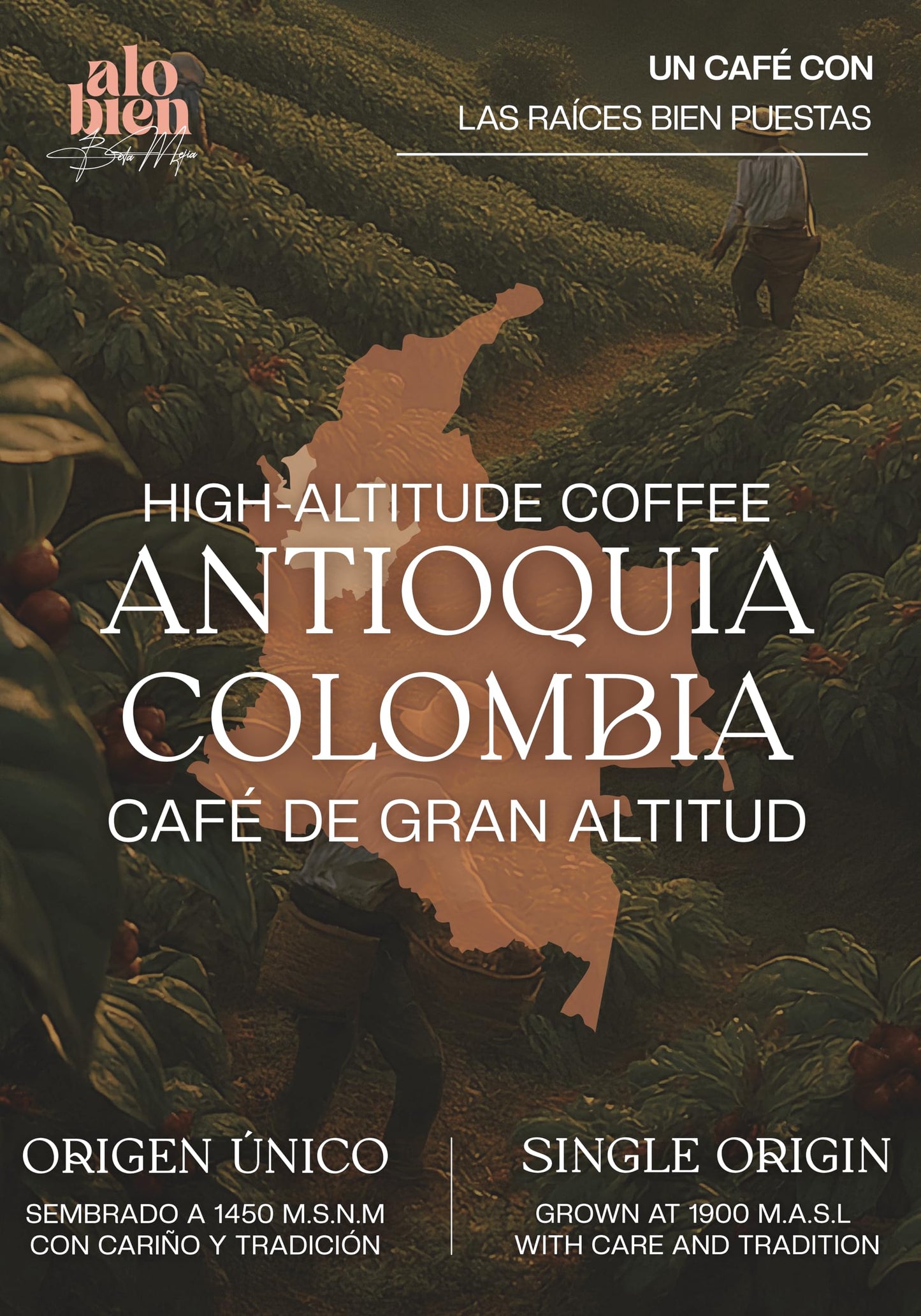 Lattenda Alo Bien Specialty Coffee Whole Bean Café Especial Colombiano 1 LB