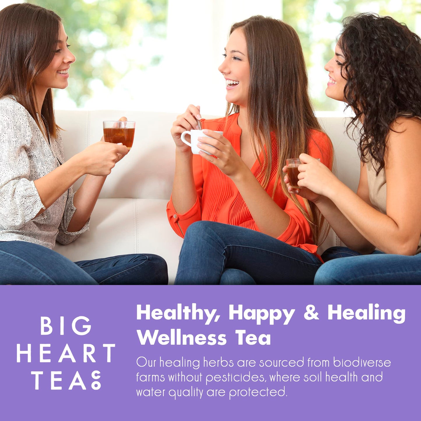 Big Heart Tea Co. Tea Bags Sampler Set - Certified Organic, Ayurvedic Herbal Tea - Small Batch Ground Herbs, Florals, Spices In