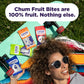 Chum Fruit Bites 100% Real Fruit Snacks-Variety, 12-Pack | Non-GMO, No Added Sugar or Preservatives | Healthy Snack | Top 12 All