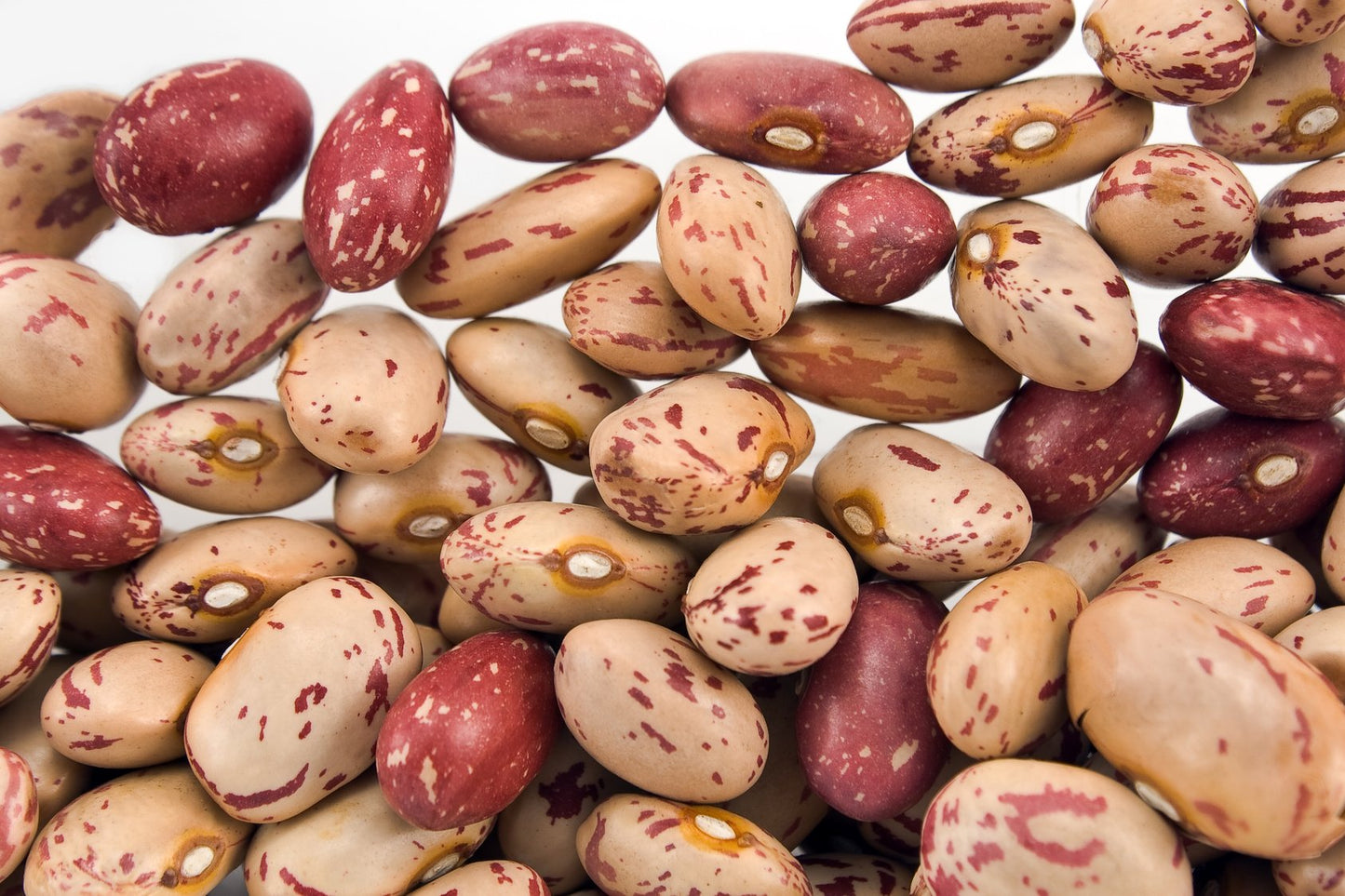 Hunza Organic Cranberry Beans (2 Lbs)