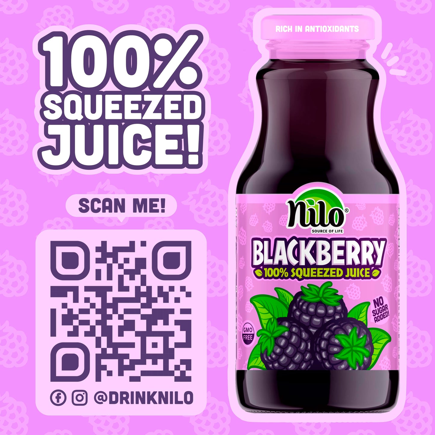 Nilo Blackberry Juice | 100% Squeezed Blackberry Mora | No Sugar Added | Non Gmo | Not From Concentrate | 8.45 Oz (Pack Of 12)