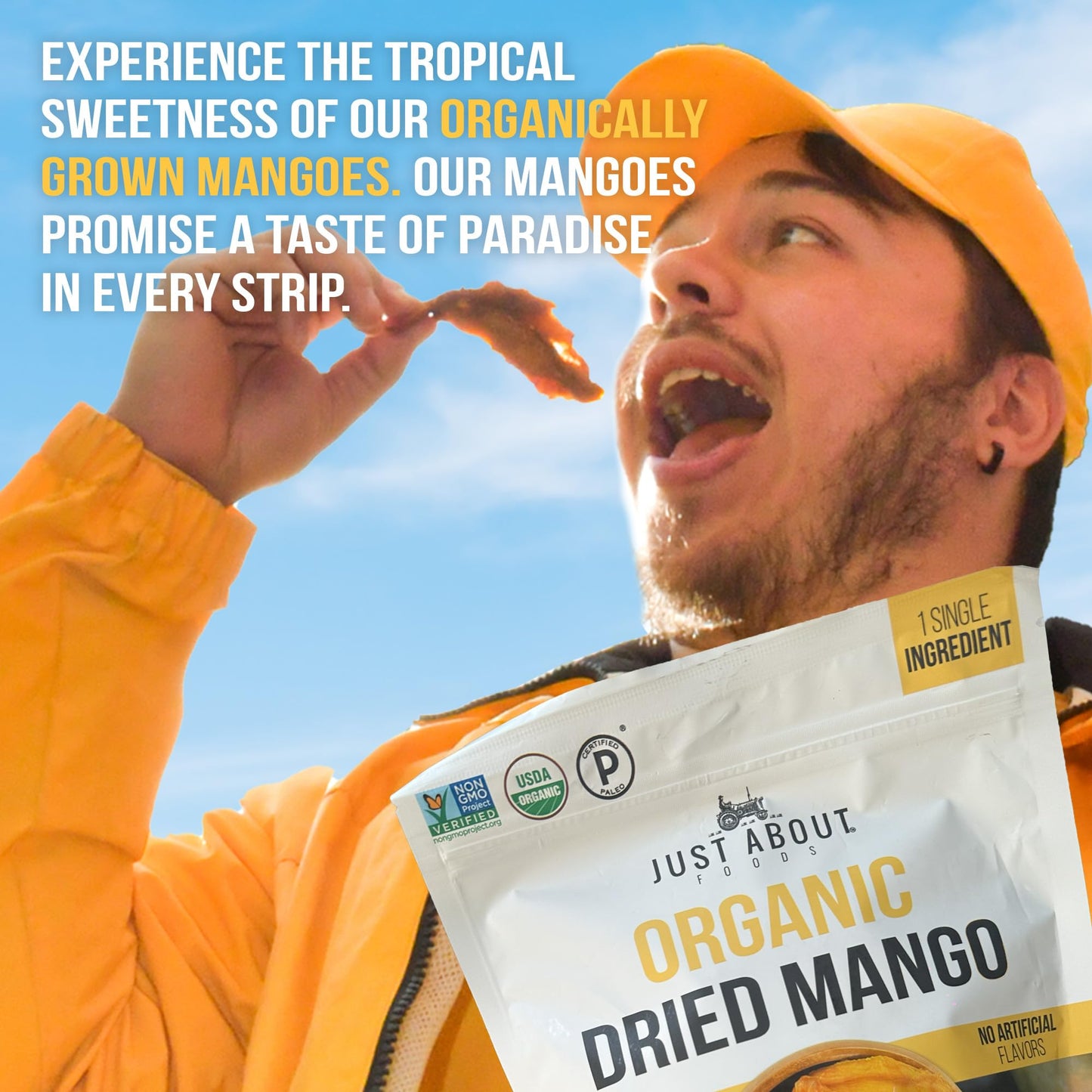 Dried Mango Slices - Juicy & Delicious, No Added Sugar, Non-GMO, Healthy Snack, Bulk Resealable Bag, 1 lb. Just About Foods Sing
