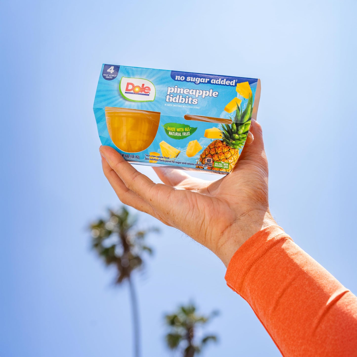 Dole Pineapple Tidbits with No Sugar Added - Dole Fruit Bowls Snacks - 4 oz Fruit Bowls - 4 Pack