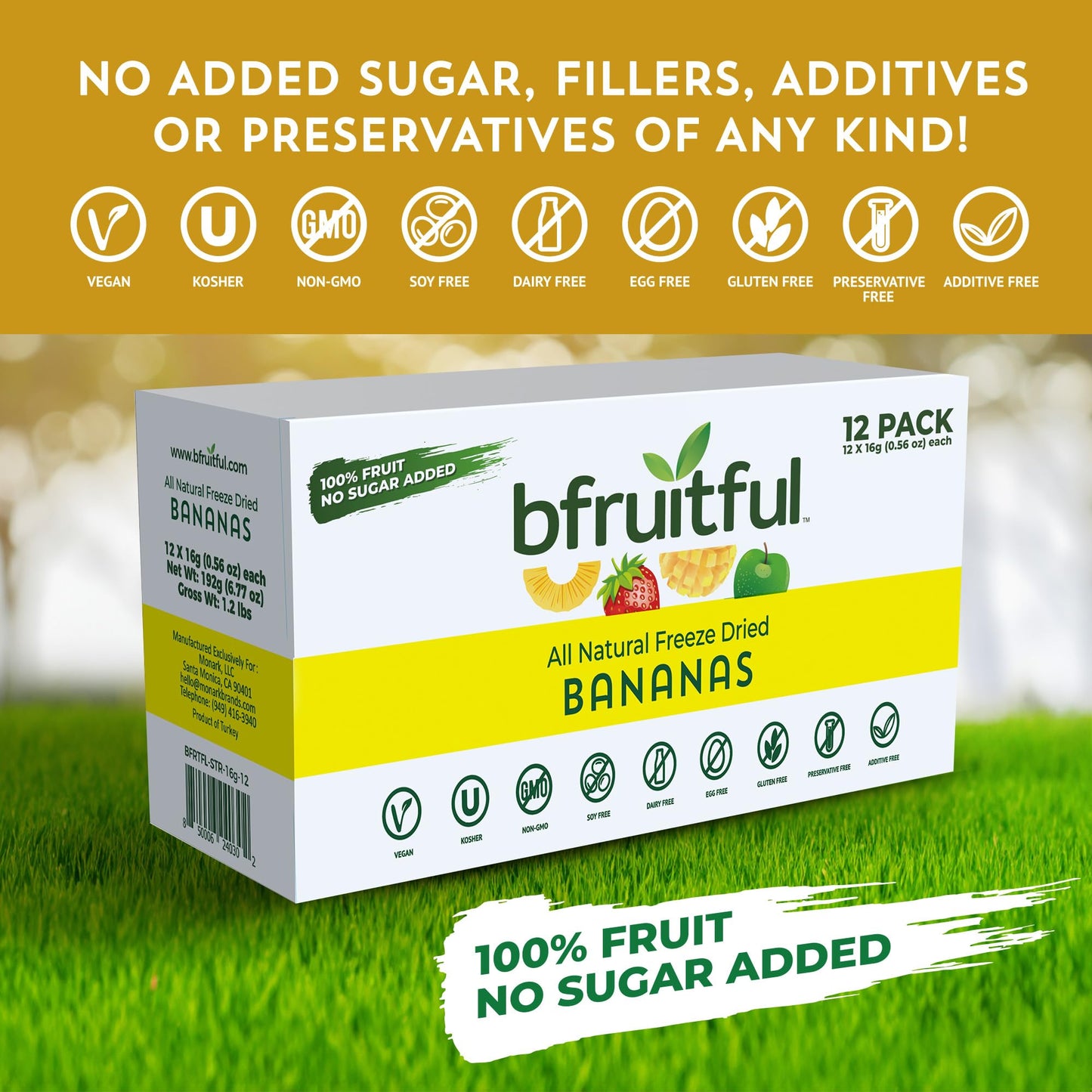 bfruitful Freeze-Dried Banana Bites, Gluten Free, Dairy Free, 12-Pack