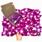 Sunne Tropical Fresh Orchid Loose Bloom Flowers 100 PURPLE for DIY Lei and Decorations