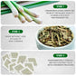 TeaDreamTea Lemongrass Tea Bags - Caffeine Free Herbal Tea - 200 Count Bulk - Enjoy Hot or Cold