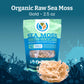 YEMAYA Organic Dried Sea Moss dietary product, Gluten Free, 2.5 oz, Gold