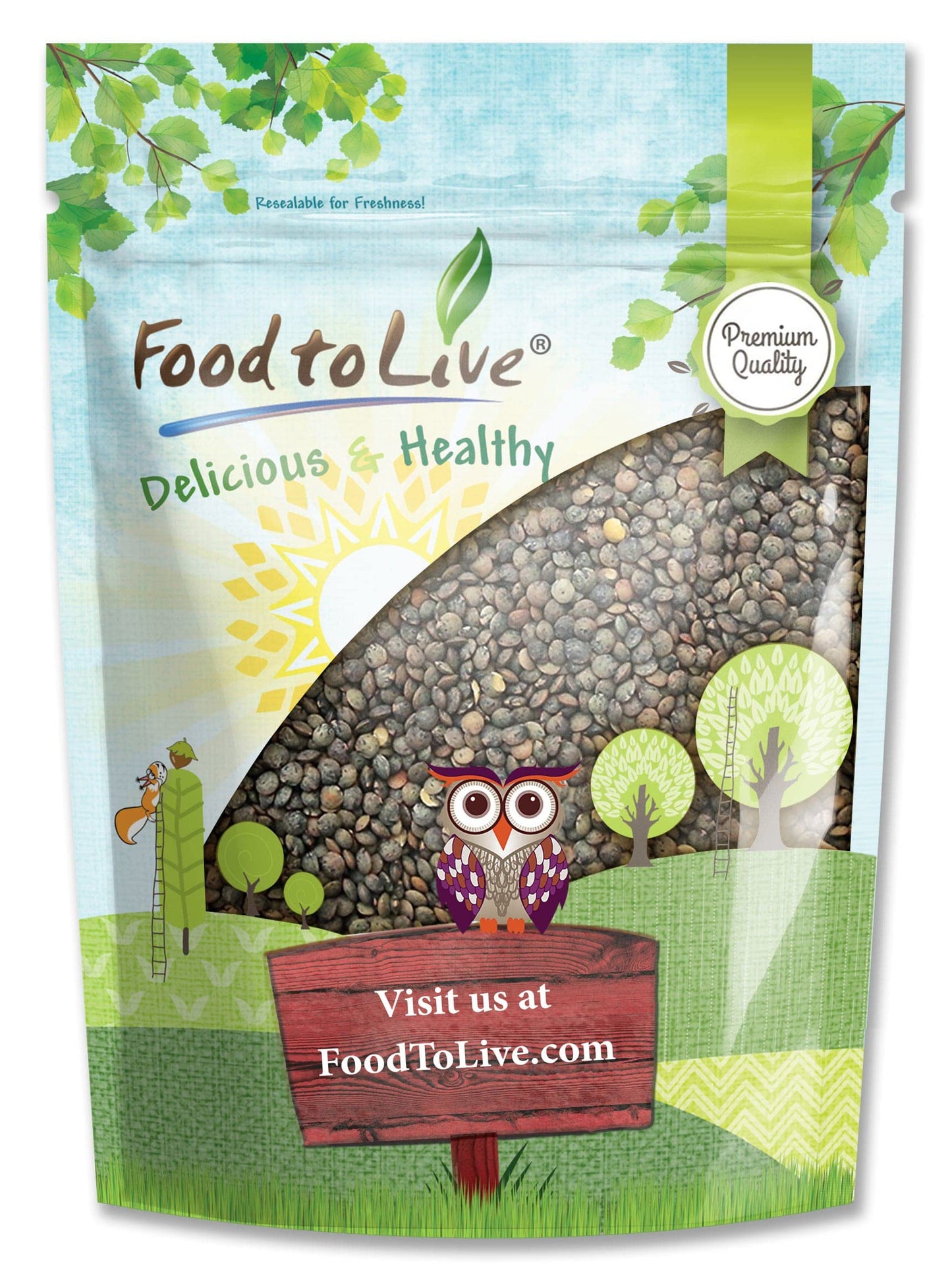 Food to Live French Green Lentils, Whole Dry Beans, 8 Ounce, Vegan, Raw, Kosher, Great for Soups and Curries