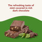 think! Vegan/Plant Based High Protein Bars - Chocolate Mint, 13g Protein, 5g Sugar, No Artificial Sweeteners, Non GMO Project Ve