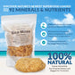 Irish Sea Moss | Seamoss | Wildcrafted - 100% Natural, Makes 240+ Oz Of Sea Moss Gel, From St. Lucia | 1 Pound - 16Oz
