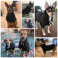 Bingpet Dog Hoodies-Fleece Lined-Hooded Pullover For Dog Cat In Cold Weather