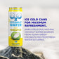 C2O Pure Coconut Water with Pineapple, 17.5 Fluid Ounce (Pack of 12)