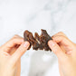 Pan s Mushroom Jerky, Vegan Snacks, Dried Mushrooms Shiitake, Plant based Jerky, Meatless Jerky, Gluten Free, High in Fiber, wi