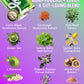 Huzzy Smart Sips Non-  ic Long Island Inspired Functional Cocktails - Low Calorie, Low Carb - 4 Pack