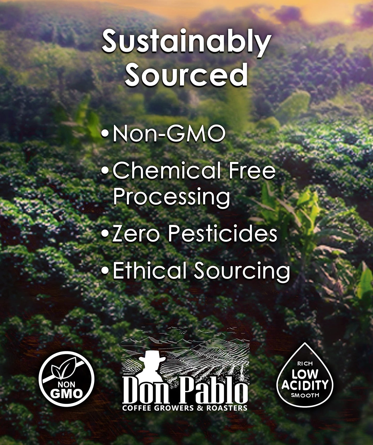 Don Pablo Gourmet Coffee - Caf   Cubano - Dark Roast - Whole Bean Coffee - 100% Arabica Beans - Low Acidity And Non-Gmo - 2Lb Ba