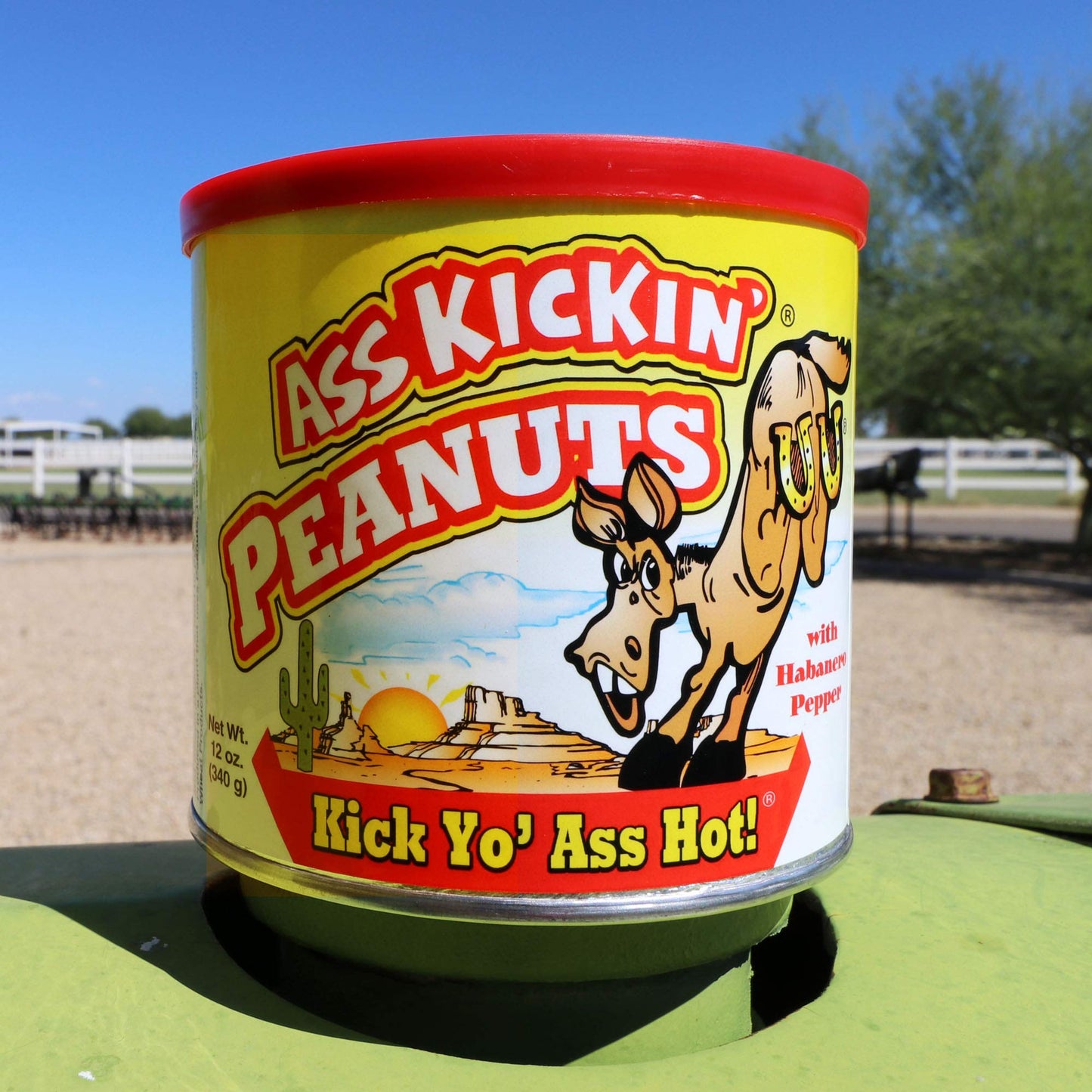 Ass Kickin Habanero Pepper Spicy Hot Peanuts - 12Oz - Ultimate Spicy Gourmet Gift Peanuts - Try If You Dare! 3 Cans