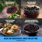 Freeze-Dried Blueberries - #10 Can | 25-Year Shelf Life | Emergency Food