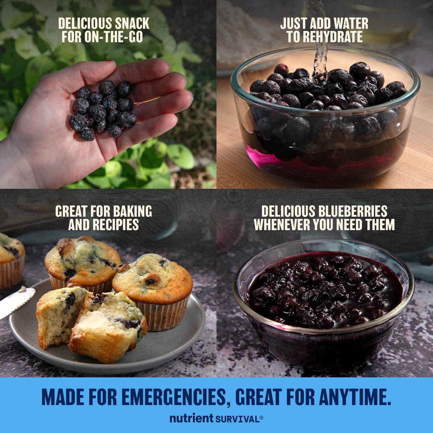 Freeze-Dried Blueberries - #10 Can | 25-Year Shelf Life | Emergency Food