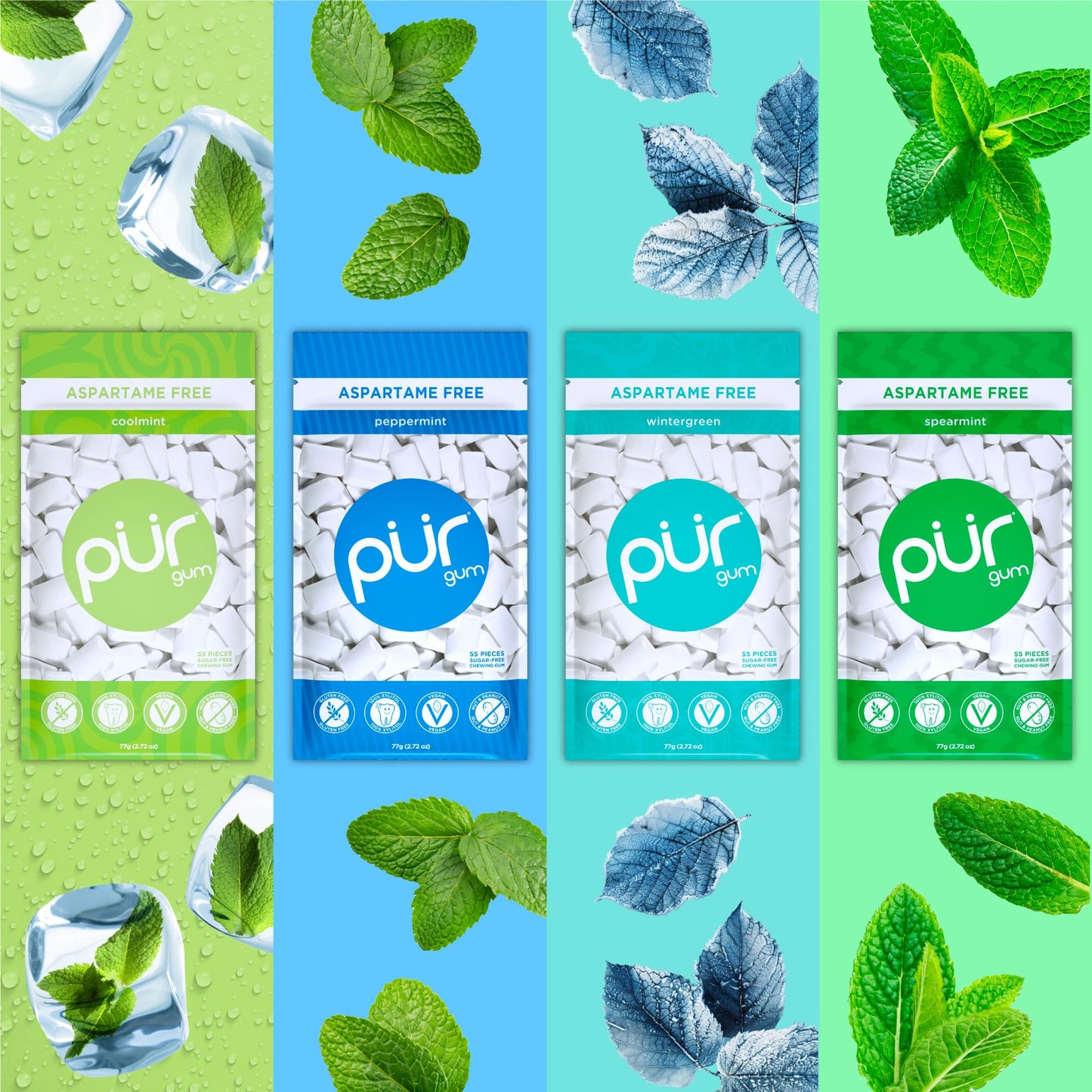 PUR Gum Variety Pack | Aspartame Free Chewing Gum | 100% Xylitol | 55 Count (Pack of 8) | Amazon Exclusive