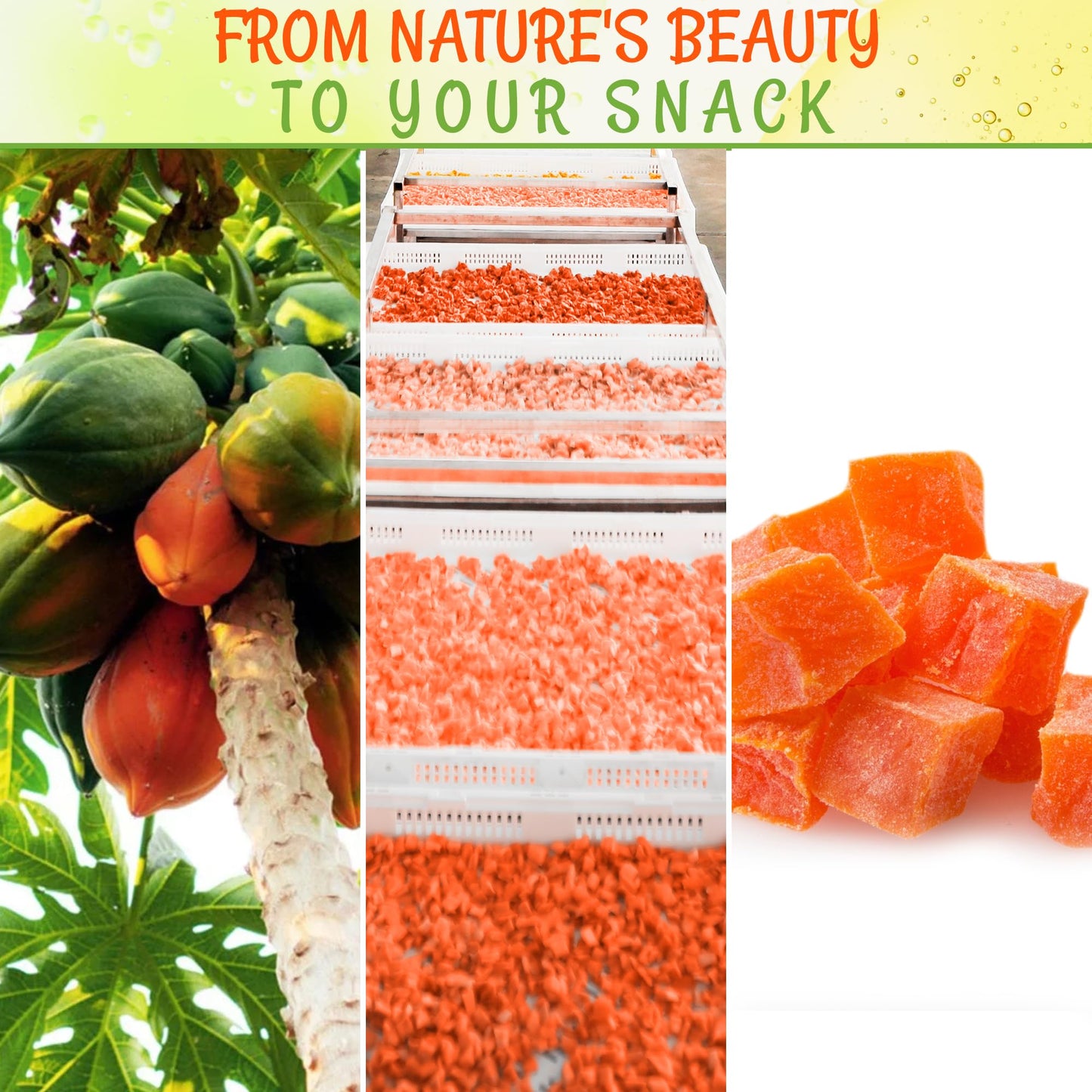 Dried Papaya Diced | 2 Lb - Dried Fruit Diced | Less Sugar Added | Dehydrated Fruit Bites | Packed In New York Zip-Seal Bag For Exceptional Freshness By Oh Nuts