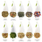 Tea Forte Tea Chests with 40 Handcrafted Pyramid Infusers - Tea Tasting Assortment, 40 Count, Model 3910120