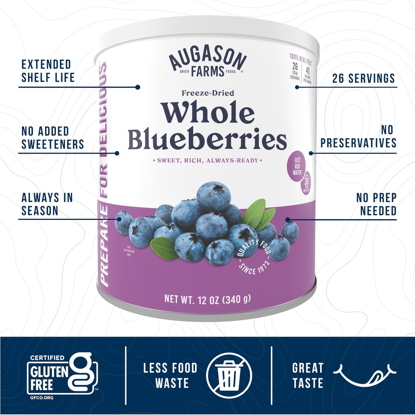 Augason Farms Dried Whole Blueberries Can – Dried Fruit For Baking & Emergency Food Supply – Dehydrated Camping Food With Long Shelf Life For Everyday Meal – 26 Servings