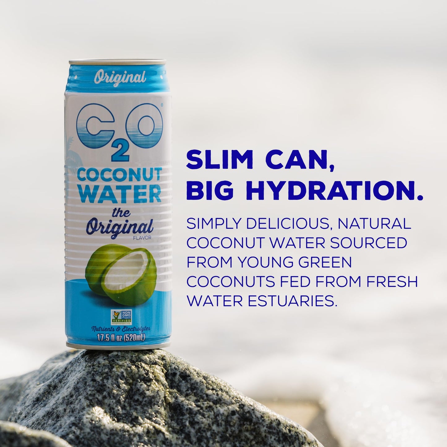 C2O - Coconut Water, The Original Flavor (12 Pack) - Made with Fresh Coconut Water, Plant Based - Non GMO Canned Water - Natural