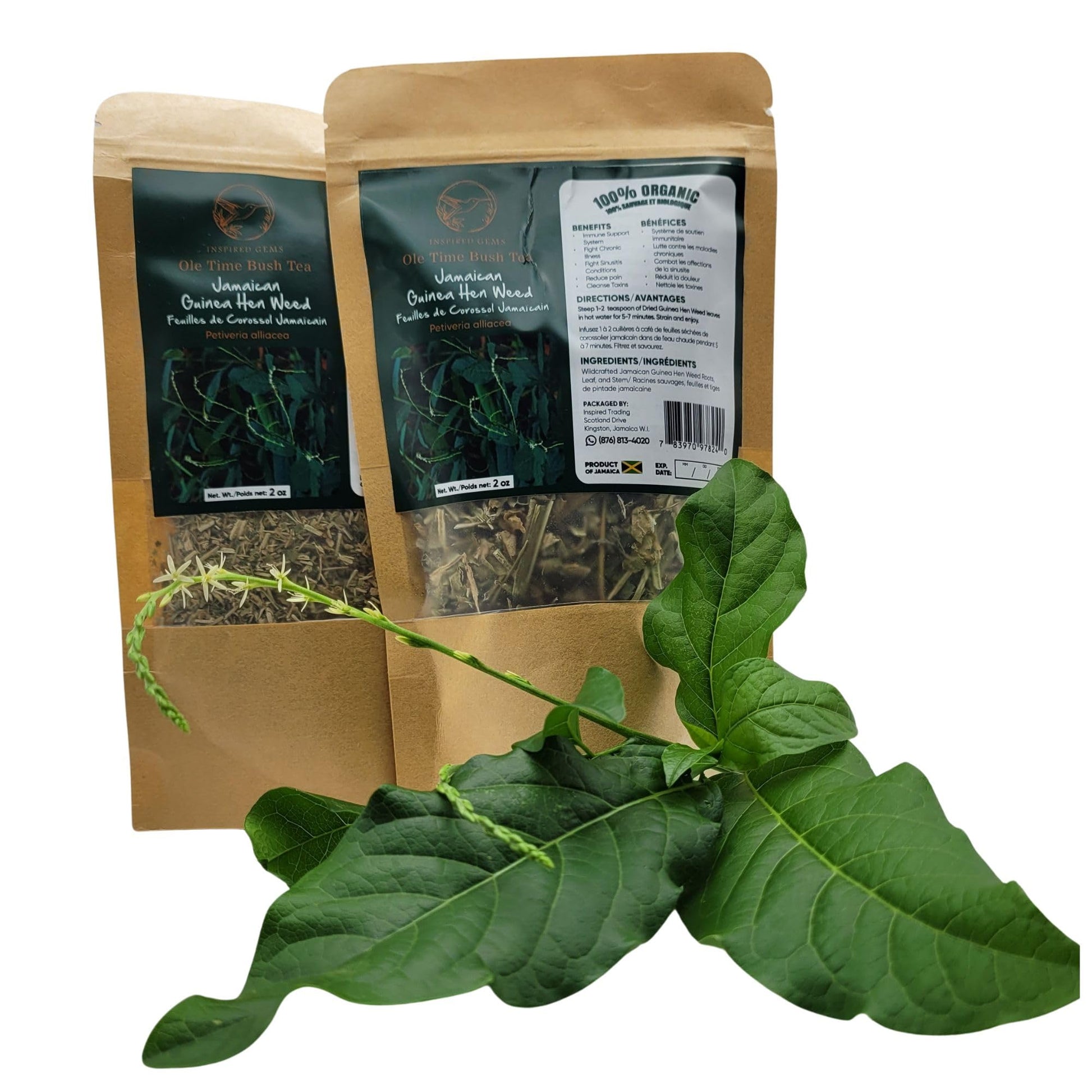 Jamaican Guinea Hen Herbal Product Tea - 4Oz (2 X 2Oz Packs) - Handpicked Loose Leaf Herbal Tea - Anamu Herbs - Dried Leaves 100% Organic From Jamaica - Inspired Gems