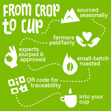 Ethical Bean Fairtrade Organic Coffee, Classic Medium Roast, Whole Bean Coffee (12 Oz Bag), Classic Medium Roast, 0.75 Lb